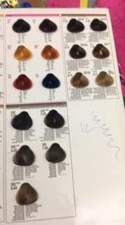 Kem nhuộm tóc Bes +Oxy ( Có bảng màu)