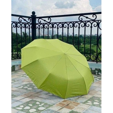 Ô tự động công nghệ Nhật chống tia UV thời trang