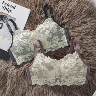 Áo Lót Ren Mỏng Thiết Kế Cỡ Nhỏ Thời Trang Quyến Rũ Cao Cấp