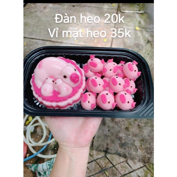 Khuôn silicon 16 mặt heo