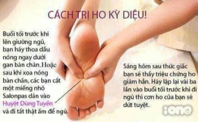 Tinh dầu tràm ngâm hoa nén cao cấp