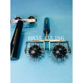LĂN CẦU ĐINH ĐÔI LỚN DIỆN CHẨN