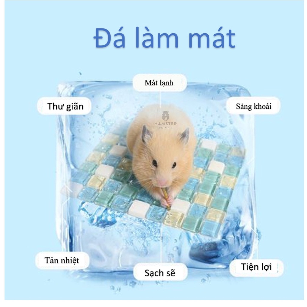 Đá làm mát, tản nhiệt mùa hè cho bé hamster , gunie pig