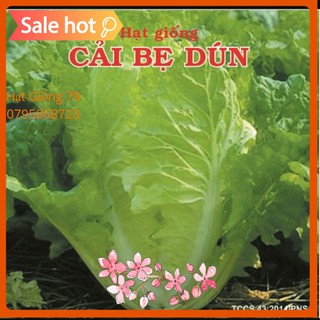 Hạt Giống Cải Bẹ Dún 10gram