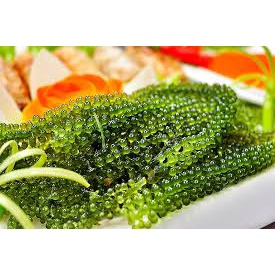 [SALE SẬP SÀN] RONG NHO OKINAWA HỘP 100G (5 GÓI X 20G)