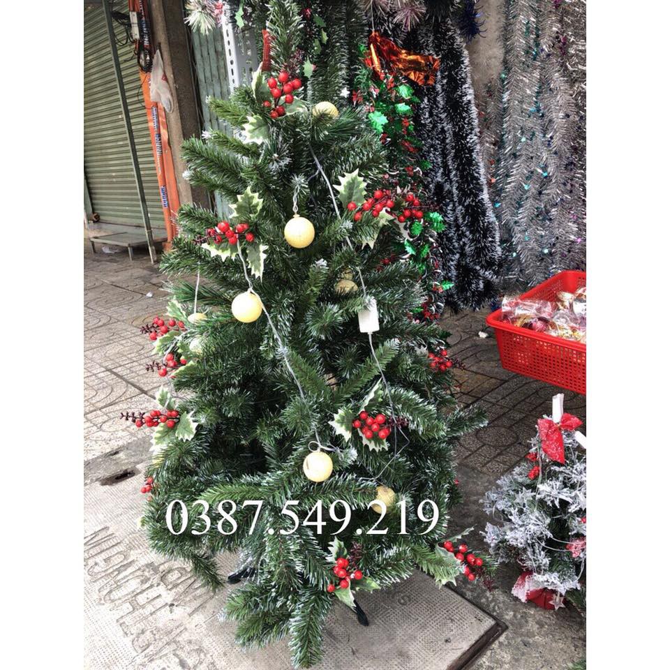 Cây thông noel 3 loại lá gắn trái đỏ 180cm