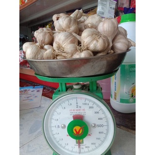 Tỏi Bắc( Hải Dương) 1kg