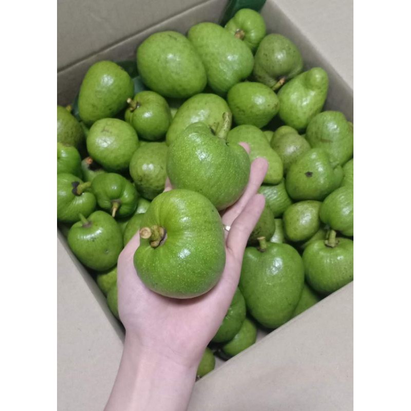 Trái bình bát tươi  1kg
