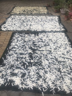 Củ cải ngâm nước mắm