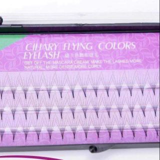 Mi volume fan sẵn 6D