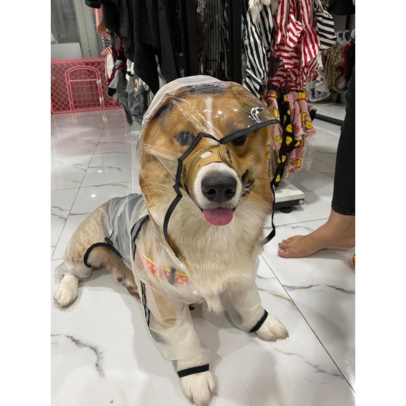 ÁO MƯA 4 CHÂN CHO CHÓ