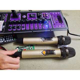 Trọn Bộ Mạch Loa Kéo Kèm 2 Tay Micro Set Tần Số Sịn Xò Kéo Bass Đơn 30 - 40 (Màu Mạch Ngẫu Nhiên )
