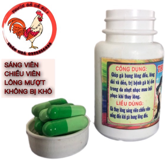 Siêu Kích Lông gà bung lông nhanh mượt dẻo không bị khô lông