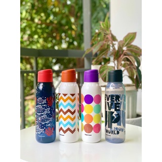 Bình nước eco bottle fancy 750ml