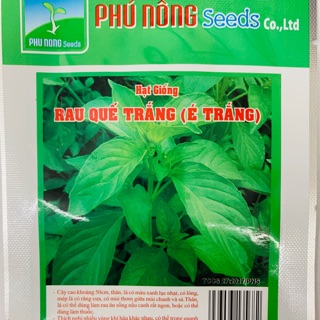 Hạt giống hạt é