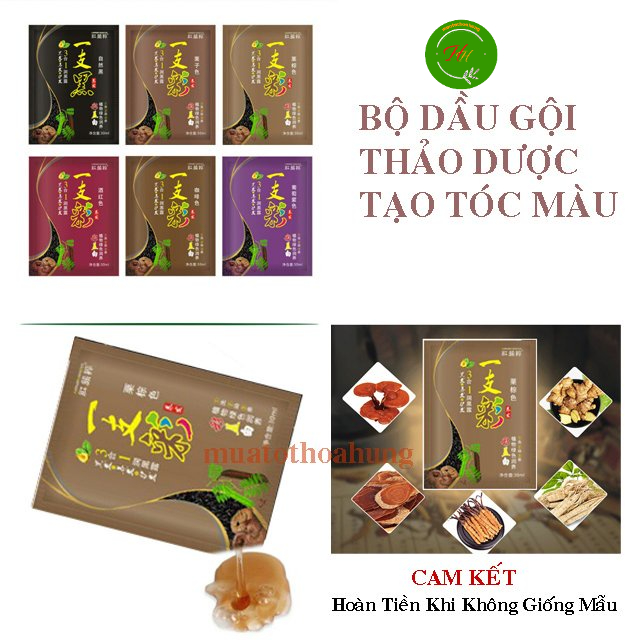 Dầu Gội Nhuộm Màu Tóc Thảo Dược Nuôi Dưỡng Da Đầu Phủ Bạc, Nâu Nhạt, Nâu Đậm, Đỏ Tím