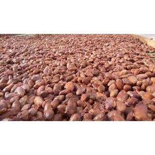 Ca cao nguyên chất Đăk Lăk 1 kg
