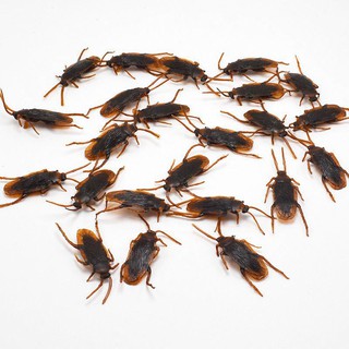 12 Pcs Halloween Simulated Plastic Cockroaches Deceptive Props Toy