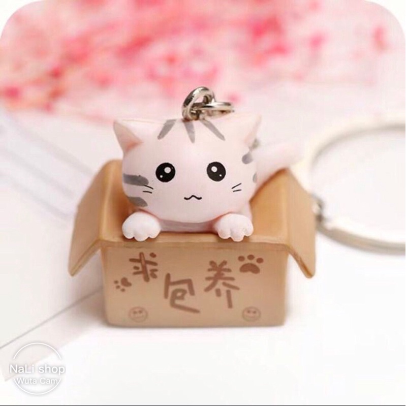 MÓC KHOÁ MÈO CON TRONG HỘP CARTON, cute dễ thương