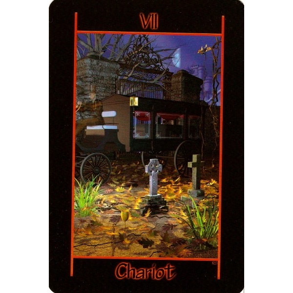 Bộ Bài Tarot of the Night (Mystic House Tarot Shop) - Bài Gốc Authentic Chính Hãng 100%