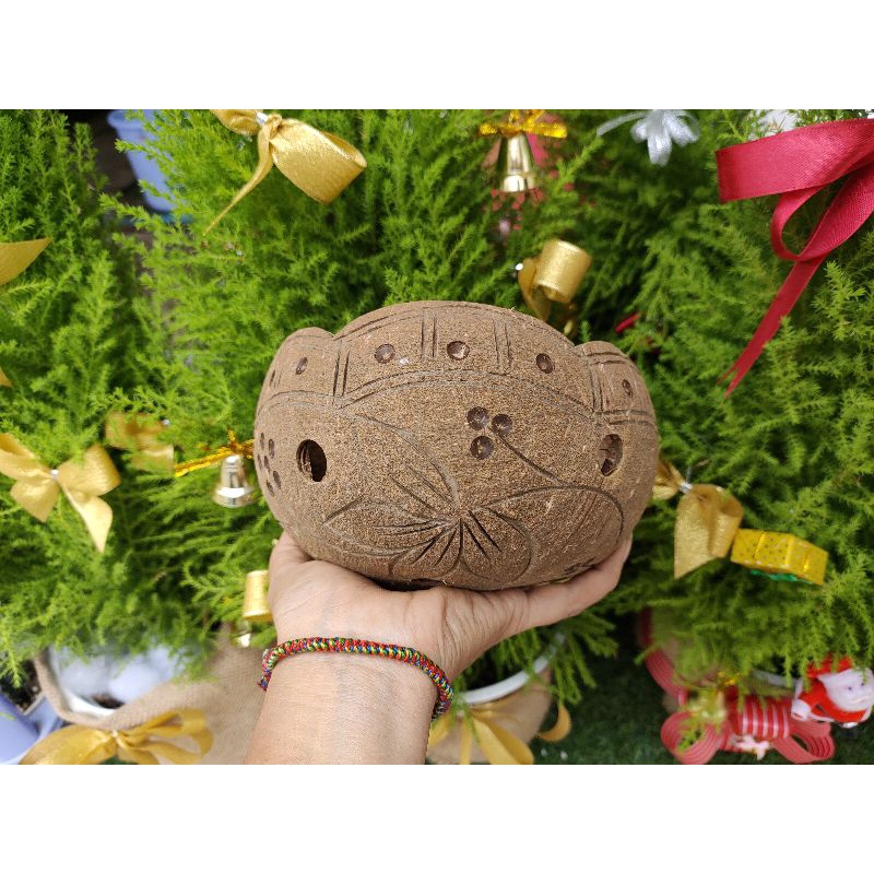 200k/10 gáo dừa trồng lan miệng đài sen