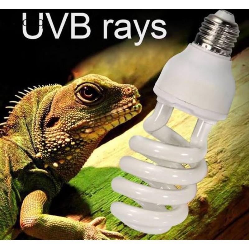 Đèn uvb nomoy mặt trời nhân tạo chuyển hóa tạo vitamind3, giúp phát triển và xương chắc khỏe