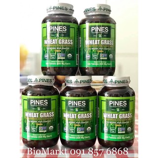 (Pines) - Viên Cỏ Lúa Mì Wheatgrass 500 Viên