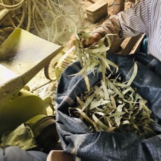 🌿 NHANG SẠCH THẢO MỘC ANAN- 100% TỪ LÁ CÂY 🌿