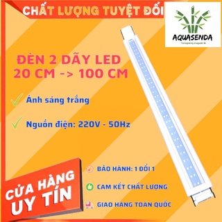 Đèn led ánh sáng trắng | đèn led cho bể thủy sinh bể cá cảnh