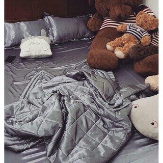 Chăn Ga Gối Nệm Phi Lụa _  Xám Nhạt
