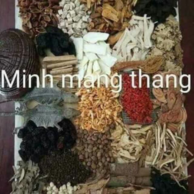 Minh mạng thang 2 tắc