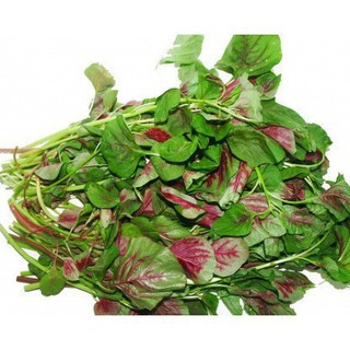 10gr Hạt Giống Rau Dền Tiều