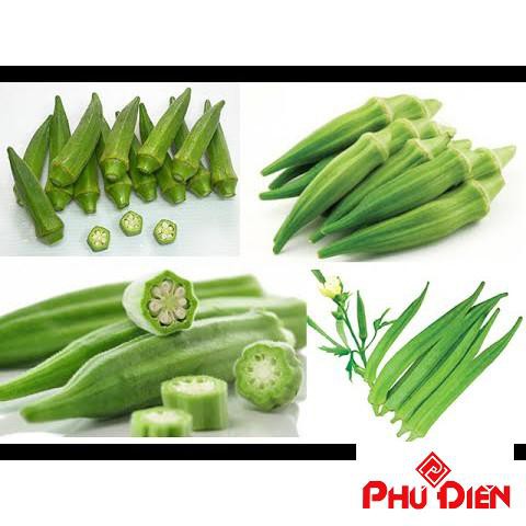 40 Hạt giống quả Đậu bắp Xanh  PHÚ ĐIỀN