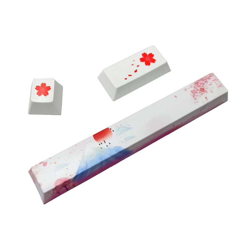 Bộ 3 Nút Space Esc PBT 6.25U Thay Thế Chuyên Dụng Cho Bàn Phím Cherry MX