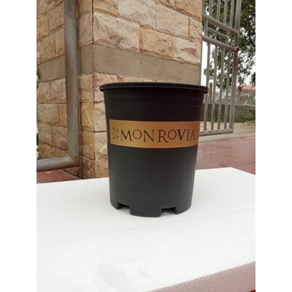 Chậu nhựa trồng cây Monrovia trồng hoa cây cảnh hoa hồng đủ kích thước, hàng đẹp