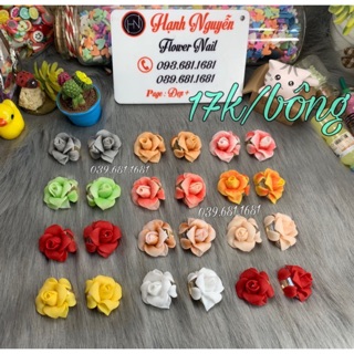 Hoa bột trang trí móng tay : Hồng Đá 17.000/bông