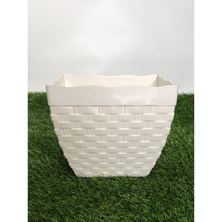 Chậu nhựa vuông mây