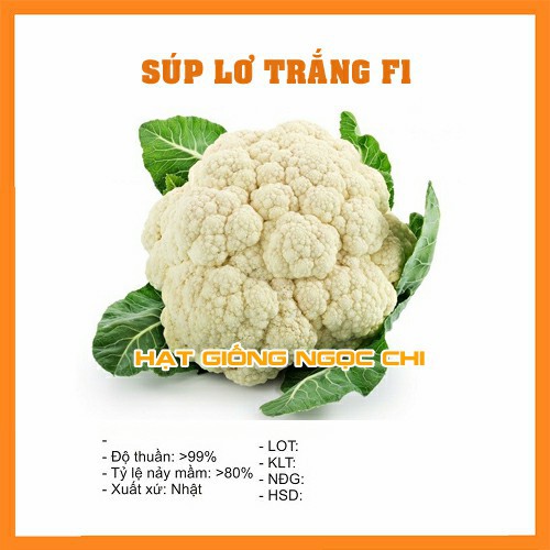 Hạt Giống Rau Súp Lơ Trắng - 0.2Gr