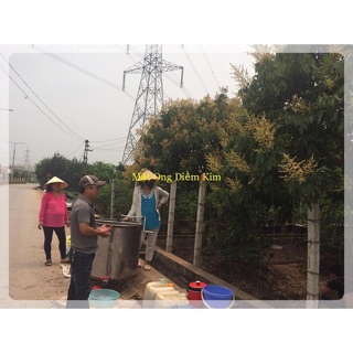Mật Ong Hoa Nhãn Hưng Yên