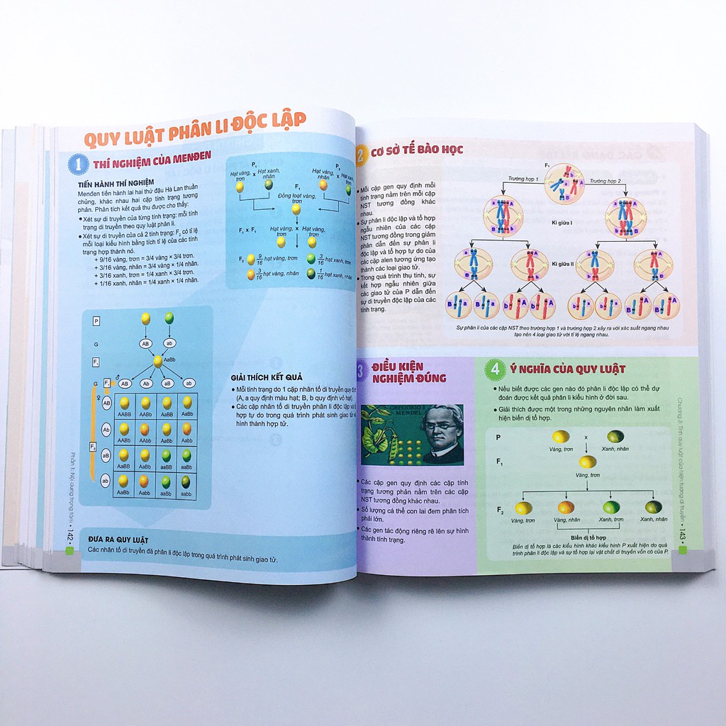 Sách Đột Phá 8+ môn Sinh học