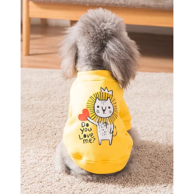 Quần áo mùa đông cho chó mèo hình sư tử vàng nỉ bông cực ấm