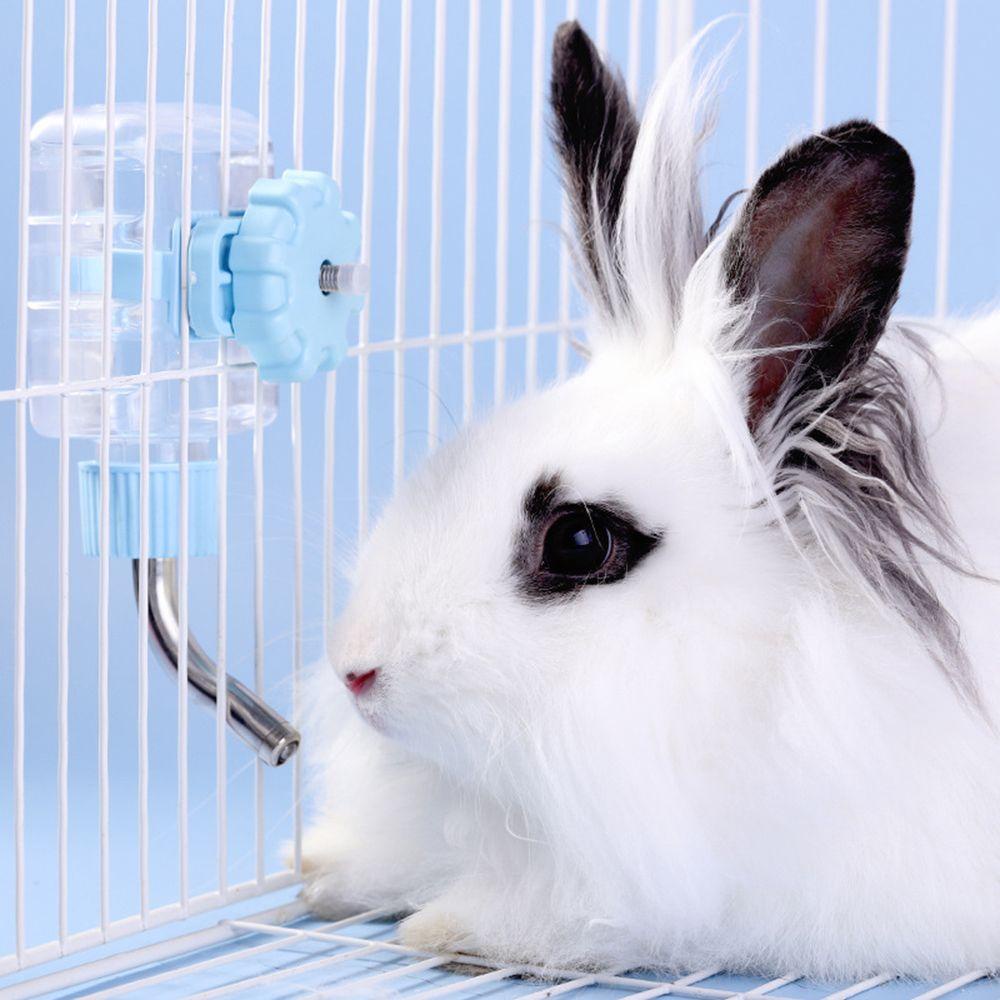Bình Uống Nước Cho Thỏ 118ML
