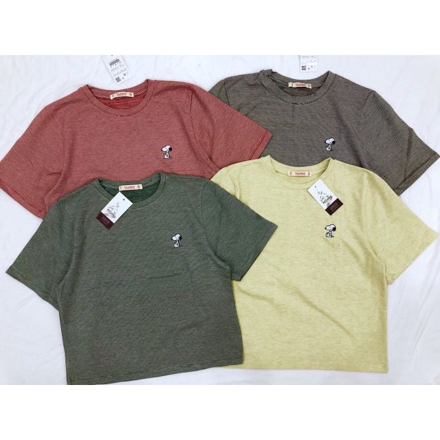 Áo thun Pull&Bear xuất/ còn 1 màu xanh nhạt