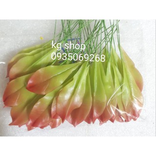 Lá mai non tô màu(100 lá).Sản phẩm loại 1