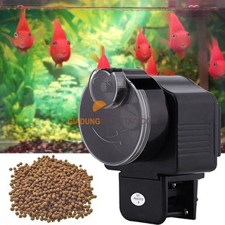 Máy hẹn giờ cho cá ăn tự động AF-2003