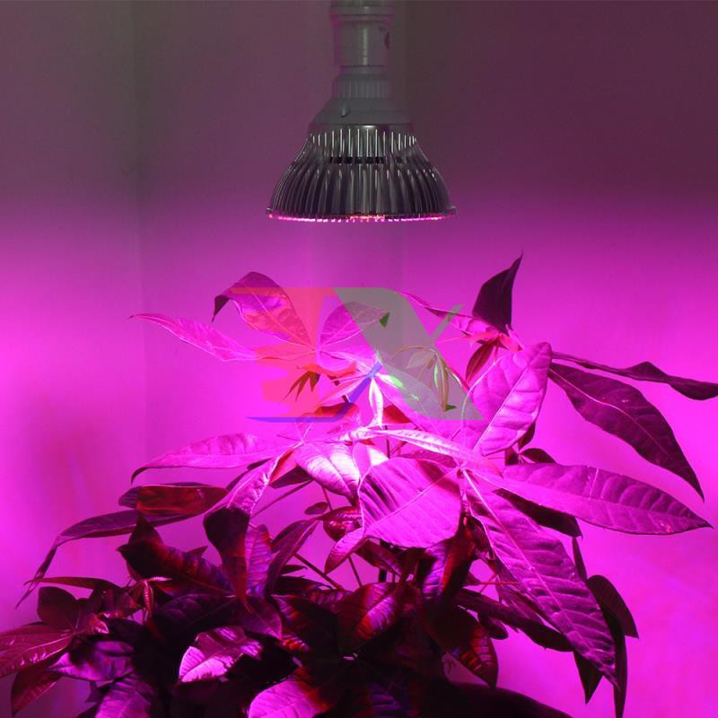 Đèn Led trồng cây, Đèn led trồng rau trong nhà, Led grow lights (30W, E27)