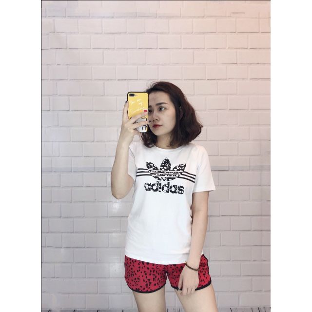 Set bộ cộc vẩy sơn