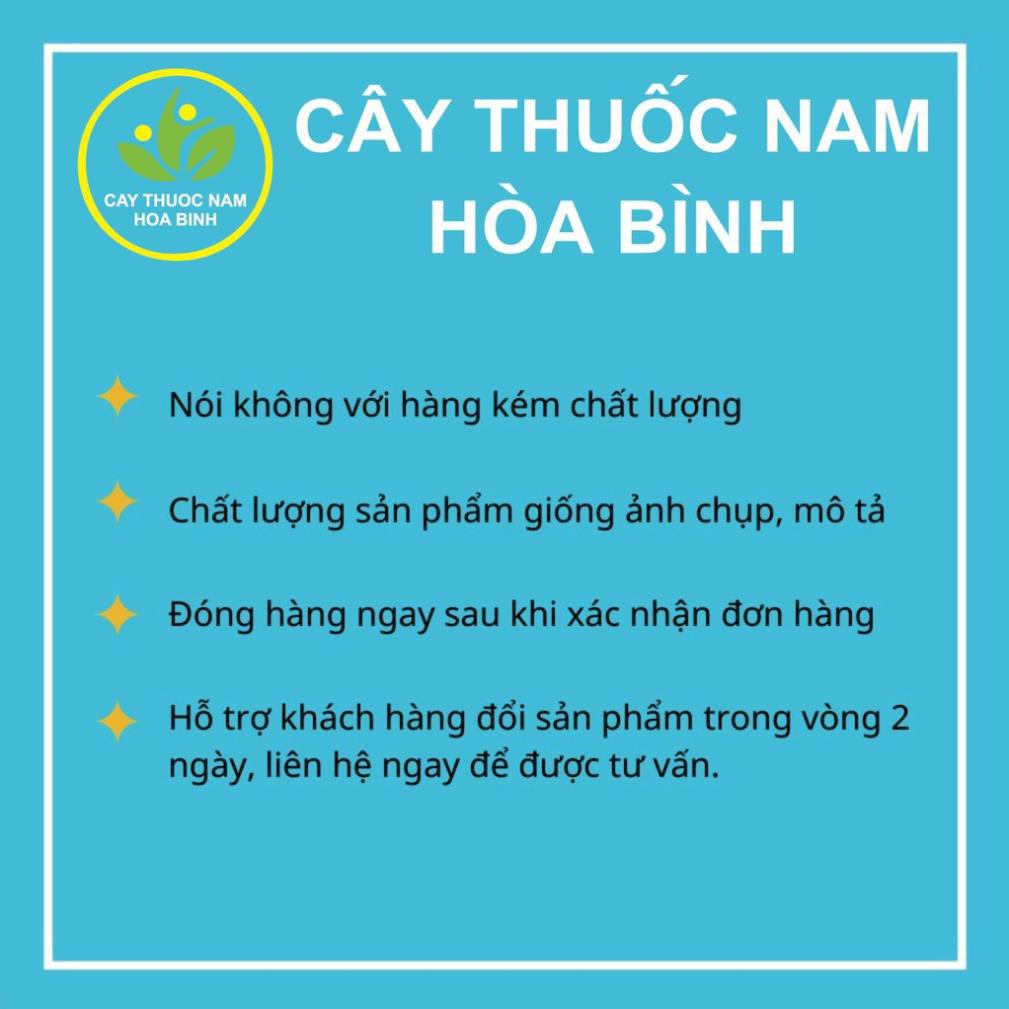 [GIÁ BÁN BUÔN] 100g Lá bồ công anh (cam kết khô, sạch, mới)