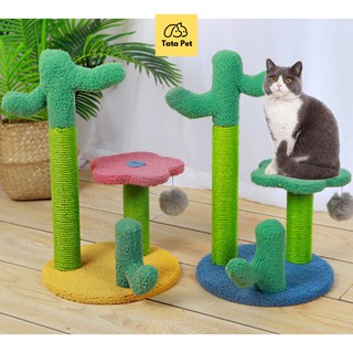 Cây cào móng trụ cào cattree hình xương rồng tata shop pet