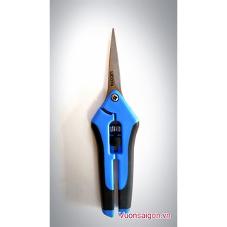 Kéo cành nhọn licota 6inch